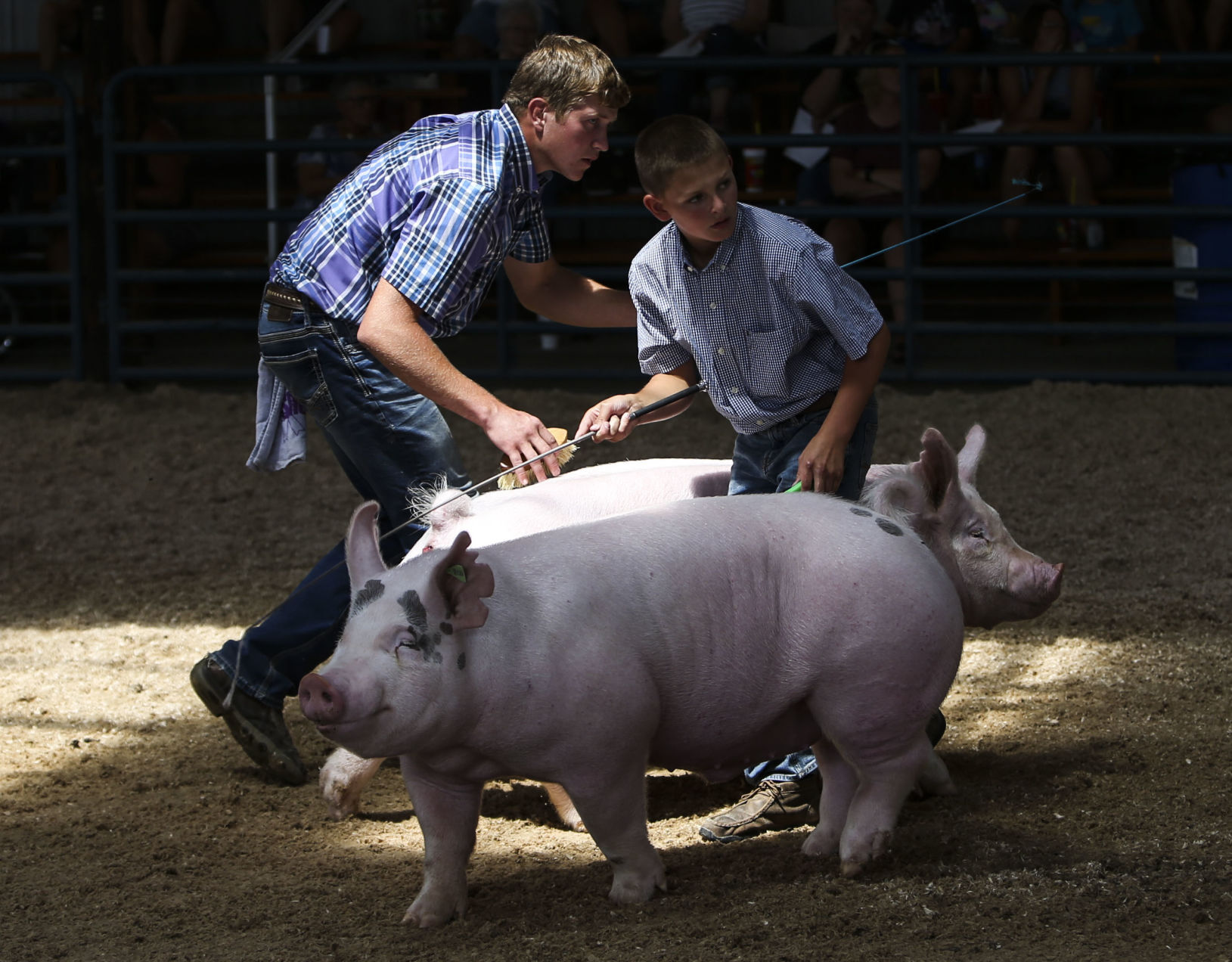 080921-qc-nws-fair-04.JPG